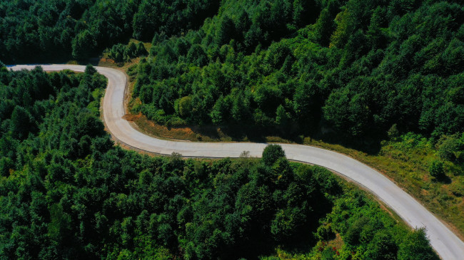 YENİ ROTA; YEŞİL YOL