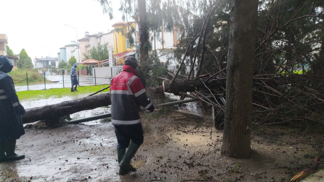 ORDU’DA ŞİDDETLİ FIRTINA ETKİLİ OLDU