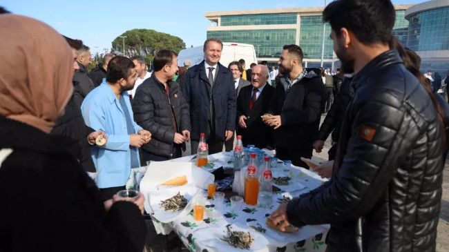 Ordu Üniversitesi’nde Öğrencilere 1 Ton Hamsi İkramı